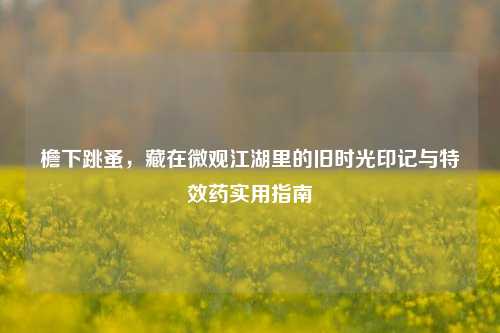 檐下跳蚤,藏在微观江湖里的旧时光印记与特效药实用指南