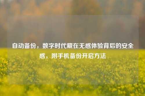 自动备份，数字时代藏在无感体验背后的安全感，附手机备份开启方法