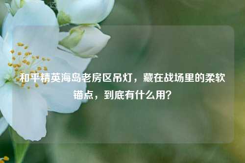和平精英海岛老房区吊灯,藏在战场里的柔软锚点,到底有什么用?