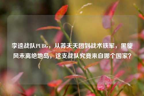 李逵战队PUBG，从莽夫天团到战术铁军，黑旋风未离绝地岛，这支战队究竟来自哪个国家？