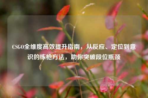 CSGO全维度高效提升指南，从反应、定位到意识的练枪方法，助你突破段位瓶颈