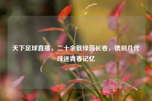 天下足球直播，二十余载绿茵长卷，镌刻几代球迷青春记忆