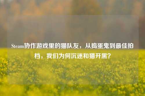 Steam协作游戏里的猫队友,从捣蛋鬼到最佳拍档,我们为何沉迷和猫开黑?