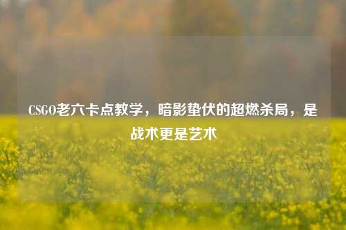 CSGO老六卡点教学,暗影蛰伏的超燃杀局,是战术更是艺术