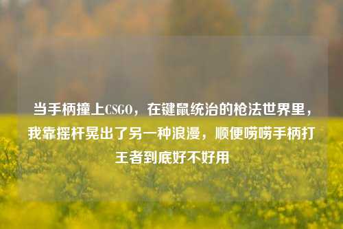 当手柄撞上CSGO,在键鼠统治的枪法世界里,我靠摇杆晃出了另一种浪漫,顺便唠唠手柄打王者到底好不好用