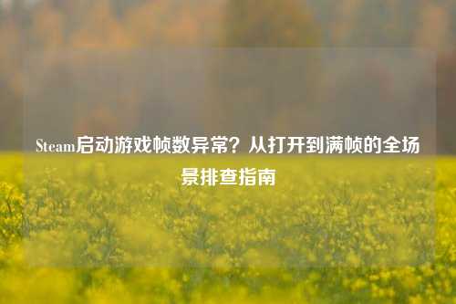 Steam启动游戏帧数异常？从打开到满帧的全场景排查指南