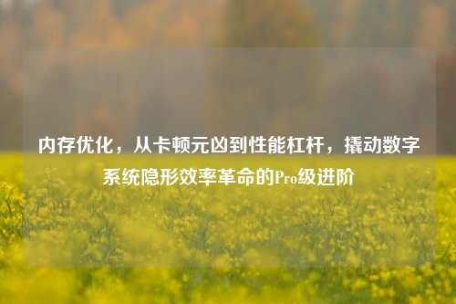内存优化，从卡顿元凶到性能杠杆，撬动数字系统隐形效率革命的Pro级进阶