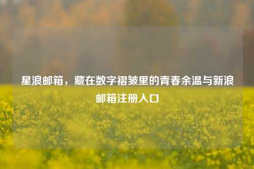 星浪邮箱,藏在数字褶皱里的青春余温与新浪邮箱注册入口