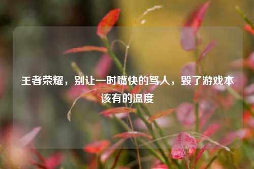 王者荣耀,别让一时嘴快的骂人,毁了游戏本该有的温度