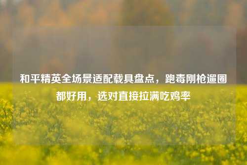 和平精英全场景适配载具盘点,跑毒刚枪遛圈都好用,选对直接拉满吃鸡率