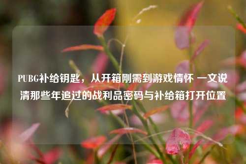 PUBG补给钥匙，从开箱刚需到游戏情怀 一文说清那些年追过的战利品密码与补给箱打开位置