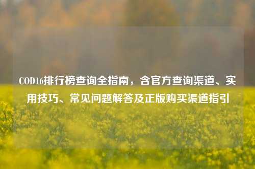 COD16排行榜查询全指南，含官方查询渠道、实用技巧、常见问题解答及正版购买渠道指引