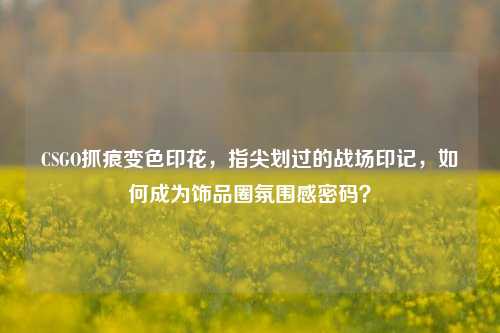 CSGO抓痕变色印花，指尖划过的战场印记，如何成为饰品圈氛围感密码？