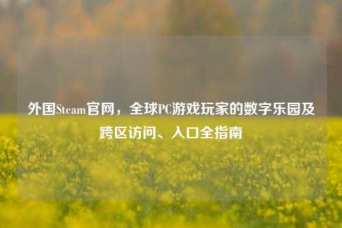外国Steam官网，全球PC游戏玩家的数字乐园及跨区访问、入口全指南