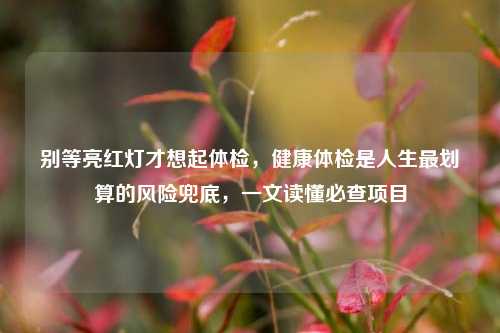 别等亮红灯才想起体检,健康体检是人生最划算的风险兜底,一文读懂必查项目