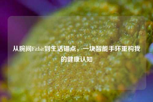 从腕间Fitbit到生活锚点,一块智能手环重构我的健康认知
