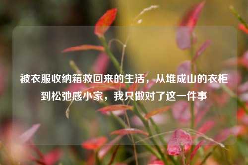 被衣服收纳箱救回来的生活，从堆成山的衣柜到松弛感小家，我只做对了这一件事