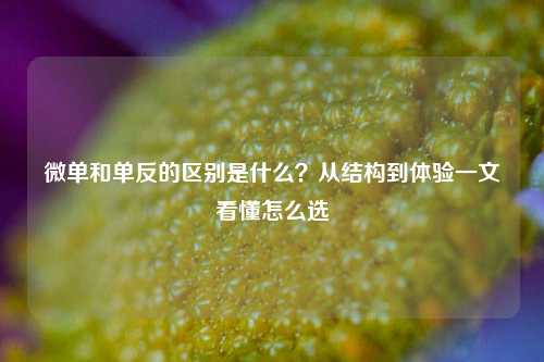 微单和单反的区别是什么？从结构到体验一文看懂怎么选