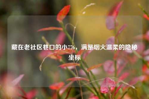 藏在老社区巷口的小776,满是烟火温柔的隐秘坐标