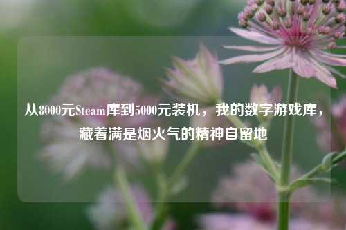从8000元Steam库到5000元装机，我的数字游戏库，藏着满是烟火气的精神自留地