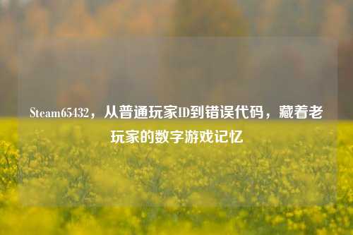 Steam65432，从普通玩家ID到错误代码，藏着老玩家的数字游戏记忆