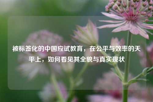 被标签化的中国应试教育，在公平与效率的天平上，如何看见其全貌与真实现状
