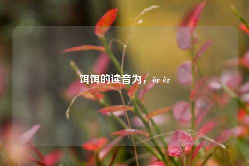 饵饵的读音为，ěr ěr
