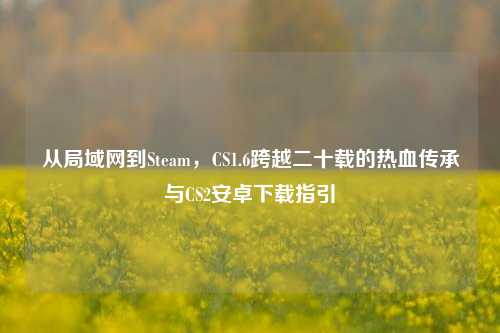 从局域网到Steam,CS1.6跨越二十载的热血传承与CS2安卓下载指引