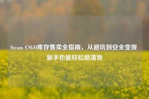 Steam CSGO库存售卖全指南，从避坑到安全变现 新手也能轻松稳落地