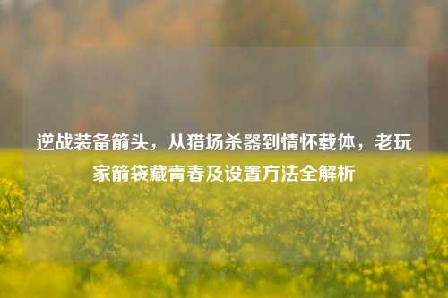 逆战装备箭头,从猎场杀器到情怀载体,老玩家箭袋藏青春及设置方法全解析