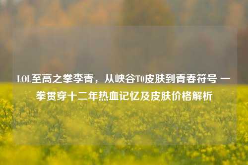 LOL至高之拳李青，从峡谷T0皮肤到青春符号 一拳贯穿十二年热血记忆及皮肤价格解析