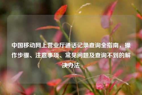 中国移动网上营业厅通话记录查询全指南,操作步骤、注意事项、常见问题及查询不到的解决办法