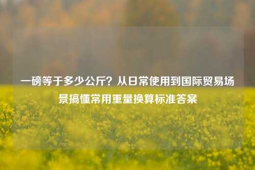 一磅等于多少公斤？从日常使用到国际贸易场景搞懂常用重量换算标准答案