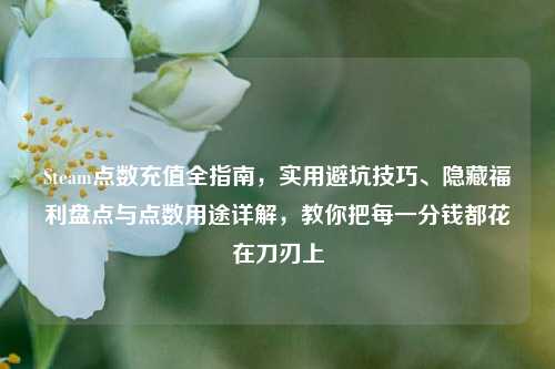 Steam点数充值全指南，实用避坑技巧、隐藏福利盘点与点数用途详解，教你把每一分钱都花在刀刃上