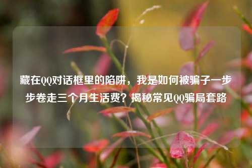 藏在QQ对话框里的陷阱，我是如何被骗子一步步卷走三个月生活费？揭秘常见QQ骗局套路