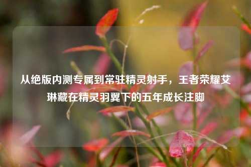 从绝版内测专属到常驻精灵射手，王者荣耀艾琳藏在精灵羽翼下的五年成长注脚