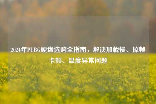 2024年PUBG硬盘选购全指南，解决加载慢、掉帧卡顿、温度异常问题