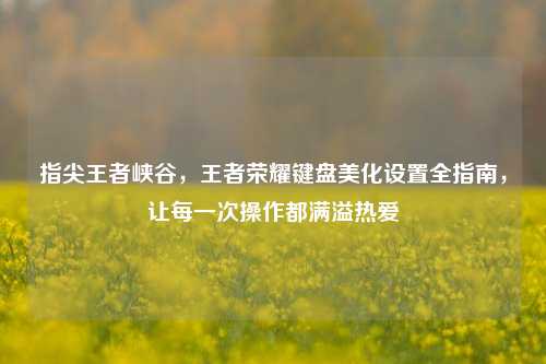 指尖王者峡谷，王者荣耀键盘美化设置全指南，让每一次操作都满溢热爱