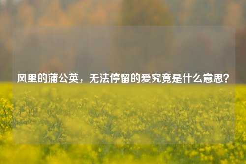 风里的蒲公英,无法停留的爱究竟是什么意思?