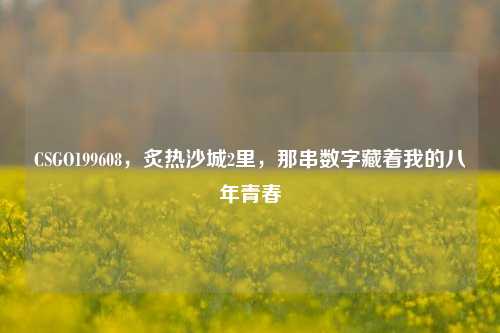 CSGO199608,炙热沙城2里,那串数字藏着我的八年青春