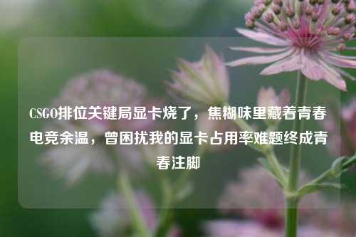 CSGO排位关键局显卡烧了,焦糊味里藏着青春电竞余温,曾困扰我的显卡占用率难题终成青春注脚