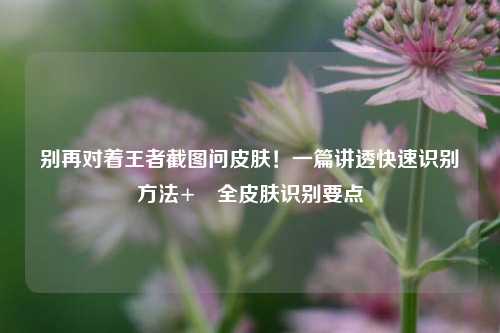 别再对着王者截图问皮肤！一篇讲透快速识别方法+暃全皮肤识别要点