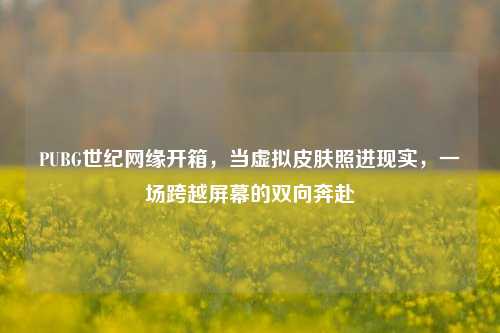 PUBG世纪网缘开箱,当虚拟皮肤照进现实,一场跨越屏幕的双向奔赴