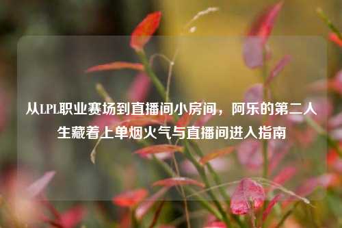 从LPL职业赛场到直播间小房间，阿乐的第二人生藏着上单烟火气与直播间进入指南