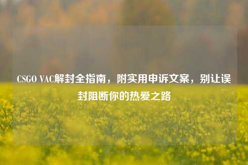 CSGO VAC解封全指南,附实用申诉文案,别让误封阻断你的热爱之路