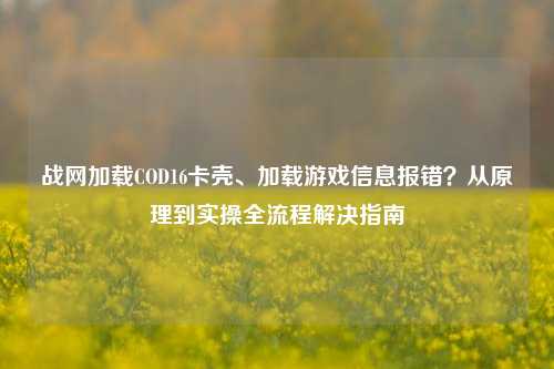 战网加载COD16卡壳、加载游戏信息报错？从原理到实操全流程解决指南