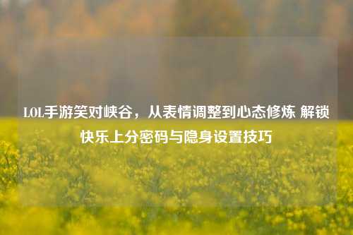 LOL手游笑对峡谷，从表情调整到心态修炼 解锁快乐上分密码与隐身设置技巧