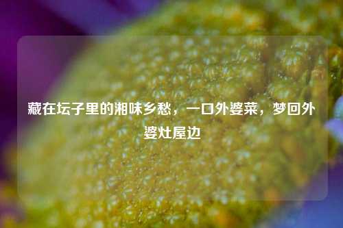 藏在坛子里的湘味乡愁，一口外婆菜，梦回外婆灶屋边