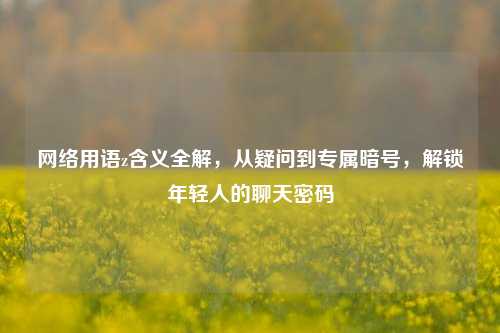 网络用语z含义全解，从疑问到专属暗号，解锁年轻人的聊天密码