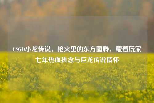 CSGO小龙传说,枪火里的东方图腾,藏着玩家七年热血执念与巨龙传说情怀